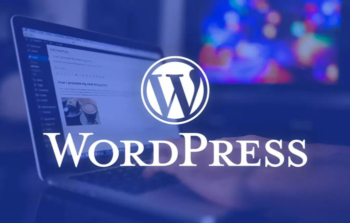 wordpressorgcom - وردپرس چیست و چه کاربرد و مزایایی دارد؟